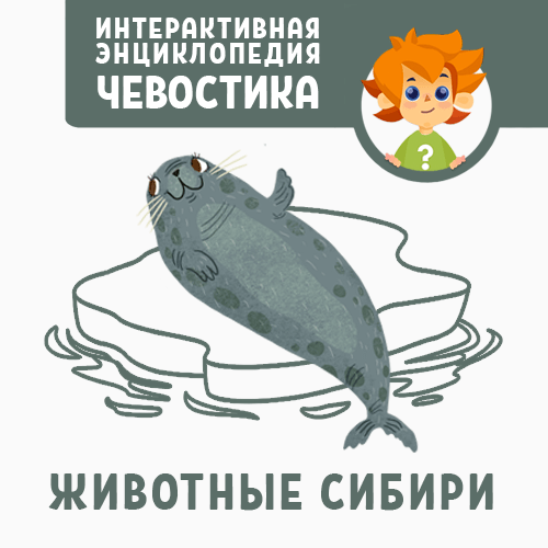 Животные Сибири - Приключения Чевостика